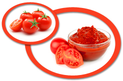 Tomato Paste USA